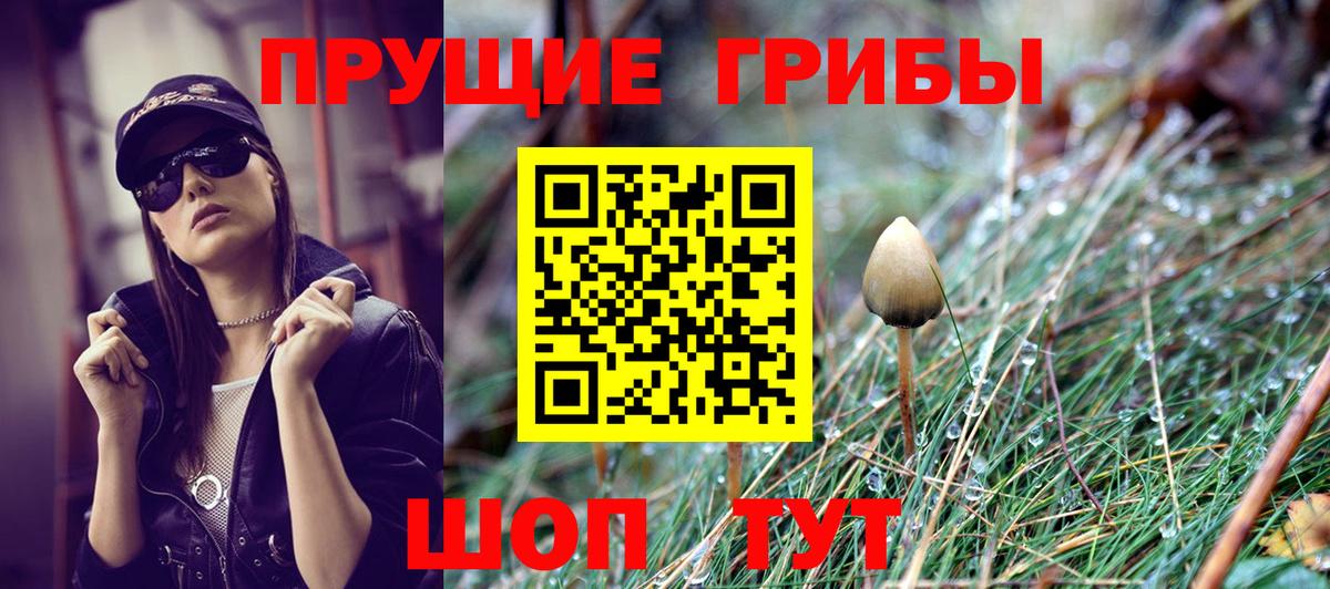 Псилоцибиновые грибы Magic Shrooms  купить закладку  Галлюциногенные грибы мицелий  Мариинск  Вход с VPN 